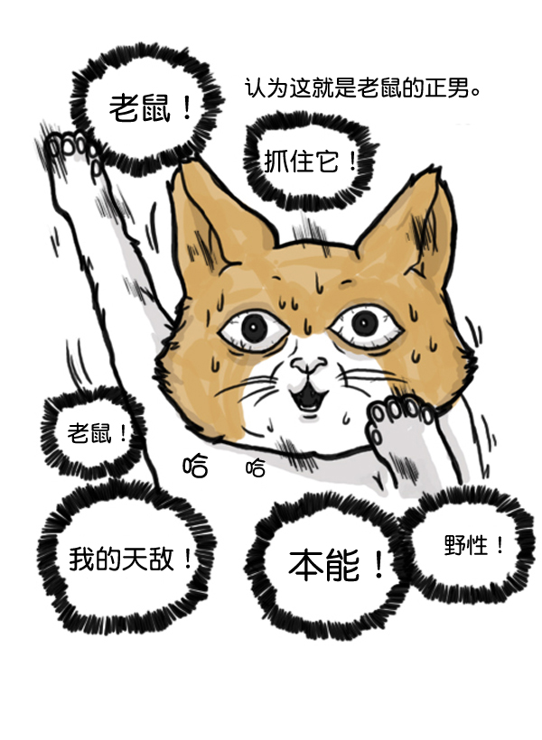 心里的声音百度网盘资源漫画,补充篇 [372话] 金正男的娱乐3图